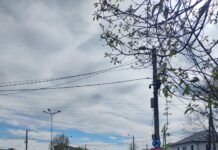 CAO: Aproape 70 la sută din lucrările de pe strada Oituz –Prelungirea Pitești au fost finalizate