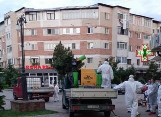 Acțiuni de dezinsecție, în Balș