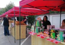 Piața volantă revine în parcarea CJ Olt