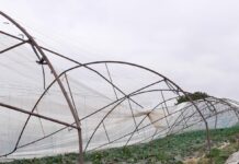 FOTO-VIDEO. Solarii distruse de furtună, la Grădinari