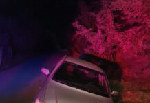 Trei șoferi au dosare penale, după ce au fost prinși conducând pe drumurile din Olt