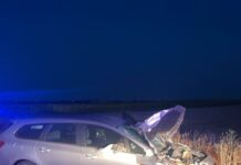 Un căruțaș a murit, după ce atelajul a fost lovit de o mașină, între Caracal și Redea