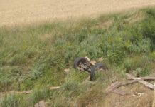 O căruță a fost lovită de un tren, la Valea Mare