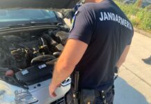 Jandarmii olteni, intervenții pentru îndepărtarea șerpilor din mai multe zone din Slatina