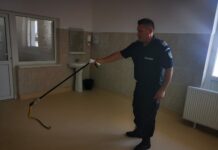 Șarpe, într-o sală de mese a Spitalului Balș