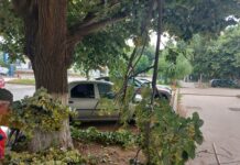 Teii din Corabia, vandalizați