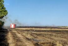 VIDEO. Incendiu violent, la Piatra-Olt