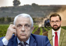 ‘Nea Petrică’, actualul ministru al Agriculturii, Petre Daea, apare în referatul trimis de DNA la Parlament, pentru ridicarea imunității lui Adrian Chesnoiu