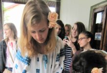 Ateliere de creație, la Muzeul Județean Olt