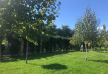 Cum va fi vremea în următoarele patru săptămâni