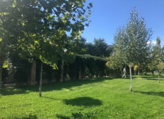 Cum va fi afectată România de vortexul polar care se formează deasupra Arcticii