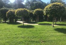 Noiembrie începe cu temperaturi mai mari decât cele normale