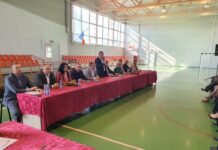 Nicușor Rada, Președinte al Organizației Orășenești Piatra-Olt