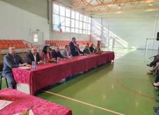 Nicușor Rada, Președinte al Organizației Orășenești Piatra-Olt