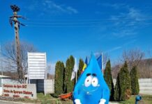 CAO: APIC SPUNE O POVESTE, DE ZIUA MONDIALĂ A APEI