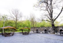 Emil Moț: “Vă anunțăm că reabilitarea pădurii Strehareți a fost finalizată cu succes”