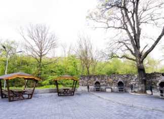 Emil Moț: “Vă anunțăm că reabilitarea pădurii Strehareți a fost finalizată cu succes”