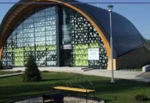 Bazin de înot, în Balș