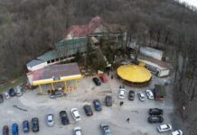 Nelu și-a luat ”Adio” de la … ”Pădurea Sarului”