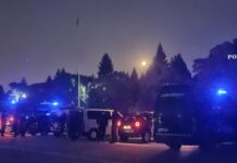 Olt: Percheziţii într-un dosar de trafic de persoane, fals în declarații, fals intelectual, fals material în înscrisuri oficiale și delapidare