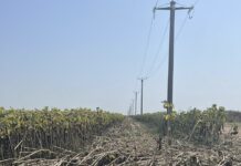 CAZUL ”POPETE”- TEROAREA FERMIERILOR= NEPUTINȚA AUTORITĂȚILOR STATULUI