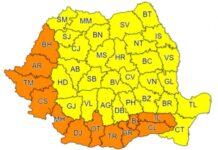 Cod portocaliu de caniculă în Olt