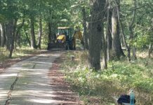 Parcul din Drăgănești-Olt prinde viață