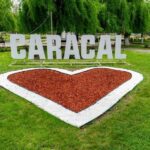 caracall caracal