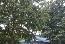 O noua reușită pentru elevii din Ștefan cel Mare, Olt