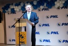 Gigel Știrbu, Președinte al PNL Olt