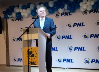 Gigel Știrbu, Președinte al PNL Olt