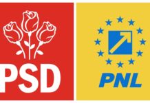 A fost declarat război între deputații Chesnoiu și Știrbu