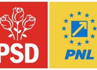 A fost declarat război între deputații Chesnoiu și Știrbu