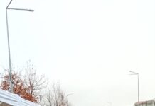 Slatina Parcul…Mărțișoarelor!