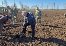 Ion Doldurea, la plantat de salcâmi