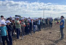 Peste 10.000 de puieți de salcâm plantați în ”Pădurea Giuvărăști”