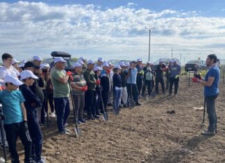 Peste 10.000 de puieți de salcâm plantați în ”Pădurea Giuvărăști”