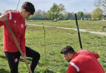 Componenţii echipei CSM Slatina au plantat pomi