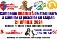 Continuă campania GRATUITĂ a câinilor și pisicilor cu stăpân