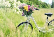 Vremea de Florii, 1 Mai și de Paști. ANM a publicat prognoza meteo pentru următoarele patru săptămâni