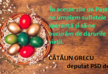 Felicitare – deputat Cătălin Grecu