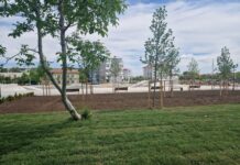 Baza sportivă şi de agrement „Dumitru Dobrescu”, inaugurată pe 31 mai