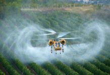 Primăria Corabia: acțiune de combatere a țânțarilor și căpușelor