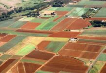 Se schimbă legea vânzării terenurilor agricole