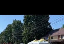 OLT. DRAGHICENI. ACTUALUL PRIMAR,DOAR GHINIOANE…!