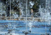 Oltul rămâne sub cod roșu.Temperaturile ajung la 42 de grade