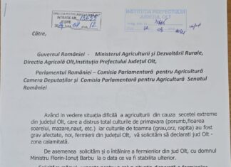 Fermierii din Olt cer ca județul lor să fie declarat zonă calamitată