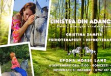 Workshop unic pentru femei: Regăsirea echilibrului interior prin conexiunea cu caii și natura