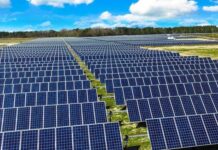 Corabia: parc fotovoltaic de 760Kw în valoare de 4.745.327,03 lei