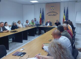 Comitetul Județean pentru Situații de Urgență Olt ia măsuri în contextul creșterii nivelului fluviului Dunărea
